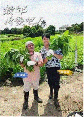 5e电影网综艺标本卡，标注单元结构与轻量观看